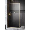 Radaway Modo F II GOLD sprchová zástena 55 x 210 cm 10409055-09-01