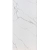 Home Carrara Bianco rektifikovaná dlažba lesklá polished 120 x 240 cm 14366