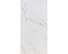 Home Carrara Bianco rektifikovaná dlažba lesklá polished 120 x 240 cm 14366