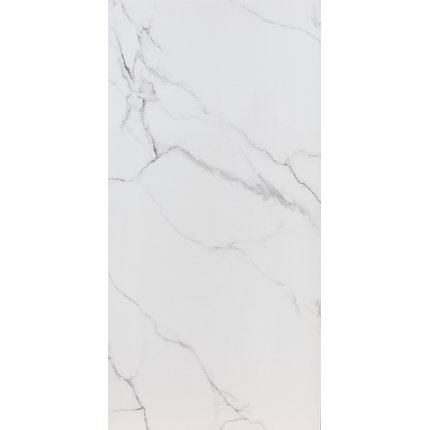 Home Carrara Bianco rektifikovaná dlažba lesklá polished 120 x 240 cm 14366