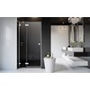 Radaway Essenza PRO WHITE DWJ sprchové dvere 110 x 200 cm 10099110-04-01L